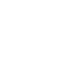chinese-royal-crown